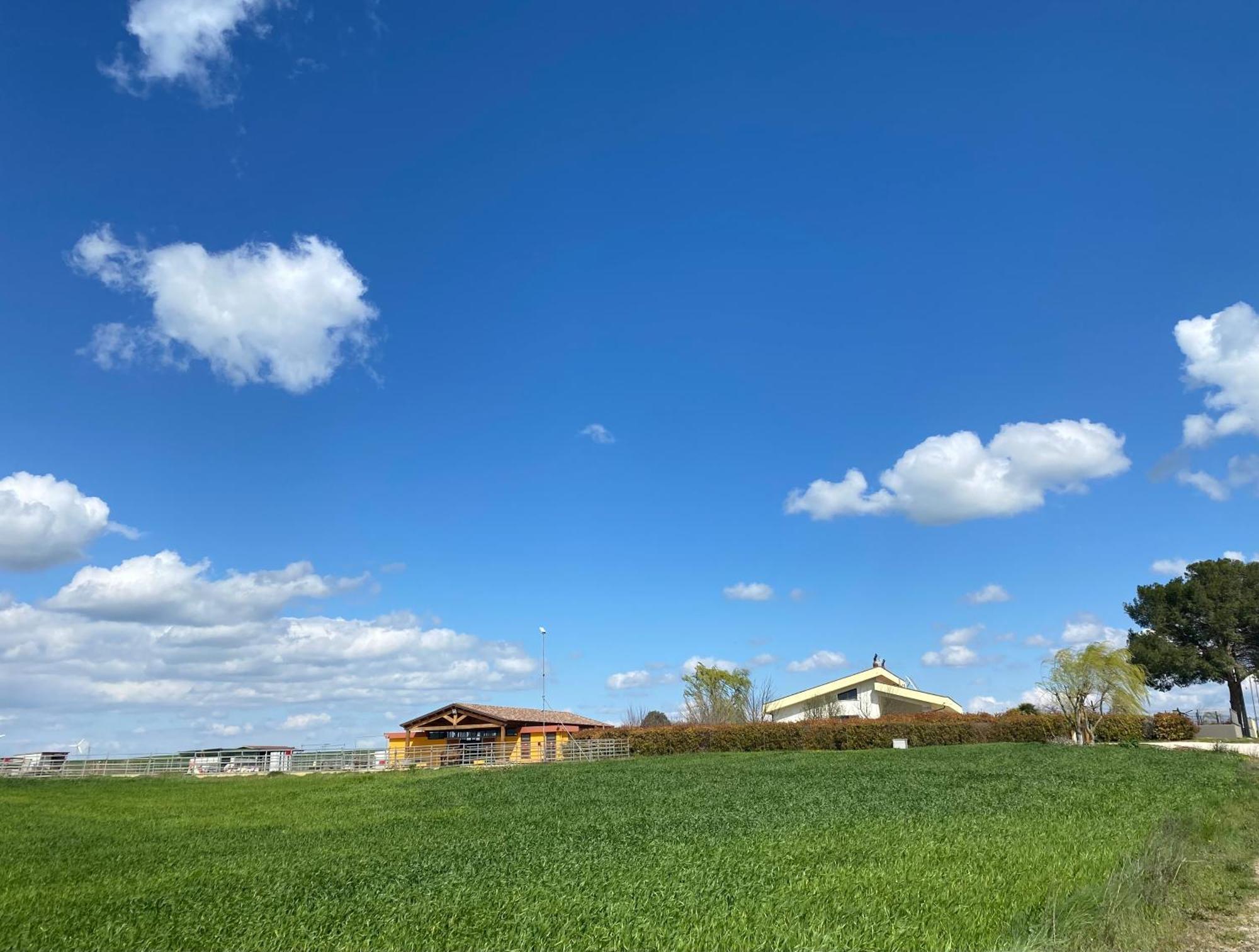 Vento Barocco - Equitazione E Turismo Villa Matera Exterior foto